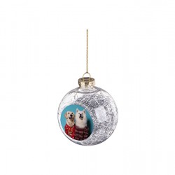 8cm Plastic Christmas Ball Ornament w/ Silver String (Clear) (SDC8-SV) D-7