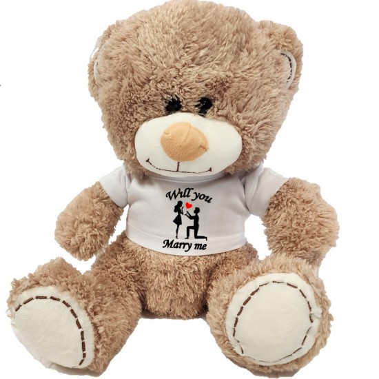 TEDDY WITH SHIRT H-3