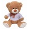 TEDDY WITH SHIRT H-3