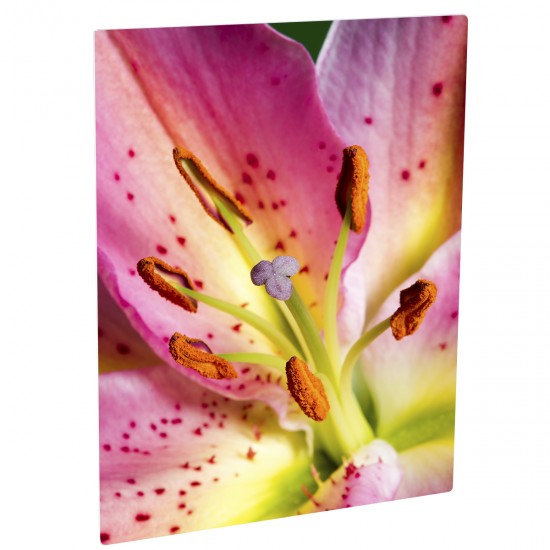 11 x 14 ChromaLuxe Sublimation Aluminum Metal Photo Print Panel (Sold as  Each) - CLEARANCE